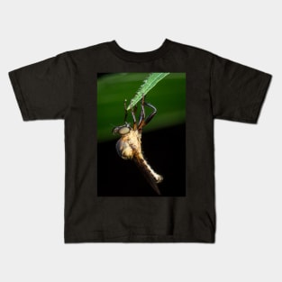 A robber fly (assassin fly) wait for its next prey Kids T-Shirt